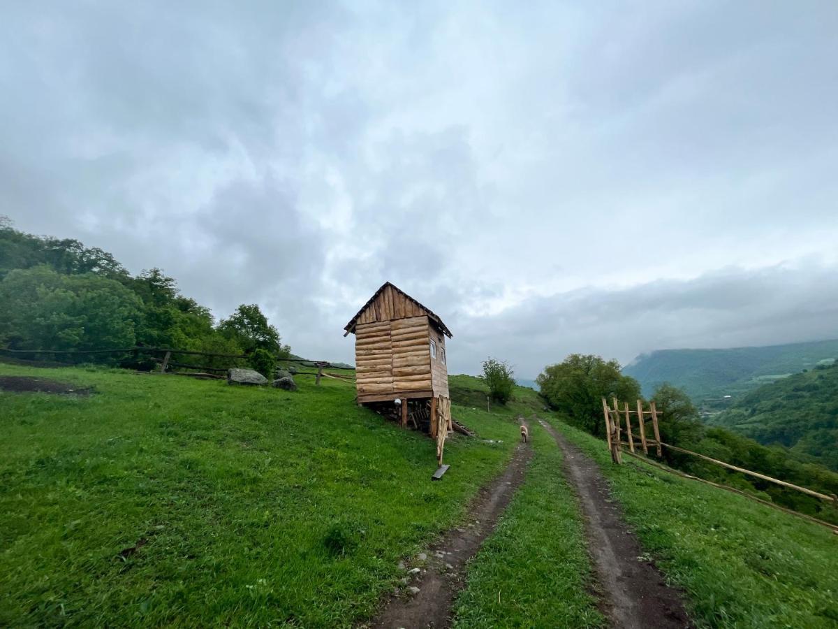 Alereks Mountain Camping Dsegh Exterior photo